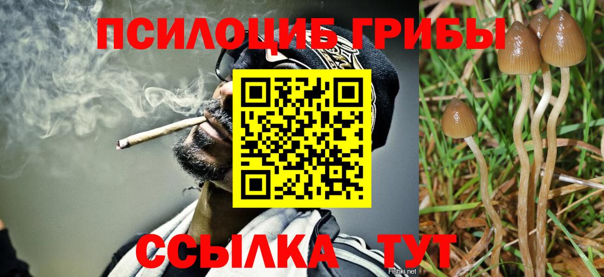 хочу   Вход с VPN  Лянтор  Галлюциногенные грибы GOLDEN TEACHER 